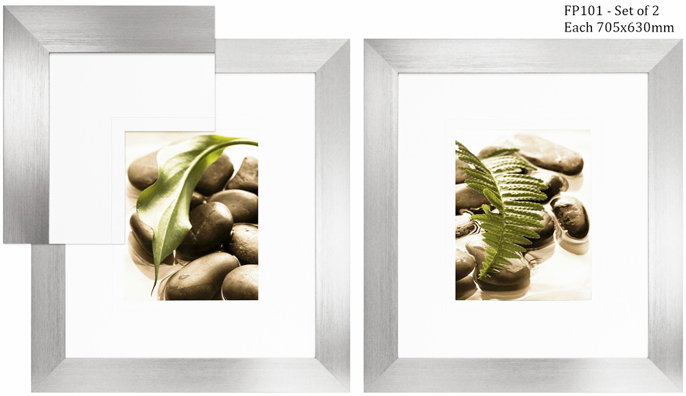 FP101 Wall décor art framed print set of 2 botanical silver frame